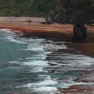 沖縄点描・辺戸岬