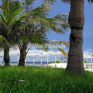 沖縄点描・海洋博記念公園・ビーチ風景