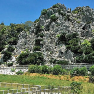 大石林山01-02・熱帯カルスト地形