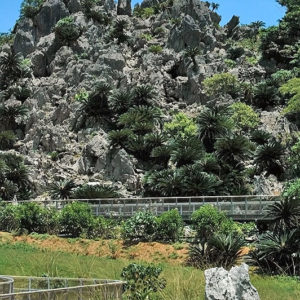 大石林山01-03・熱帯カルスト地形