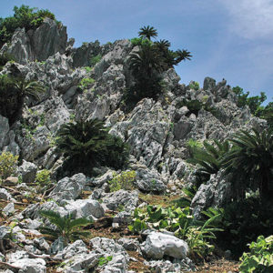 大石林山01-06・熱帯カルスト地形