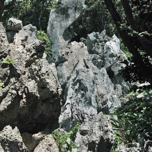 大石林山01-08・熱帯カルスト地形