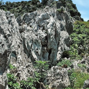 大石林山01-09・熱帯カルスト地形