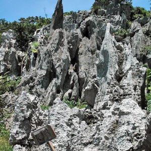 大石林山01-10・熱帯カルスト地形