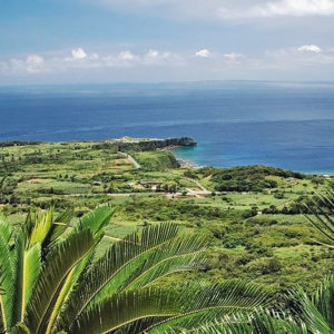 大石林山01-11・熱帯カルスト地形