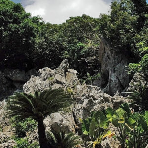 大石林山01-13・熱帯カルスト地形