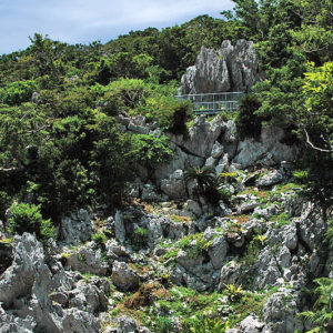 大石林山01-16・熱帯カルスト地形