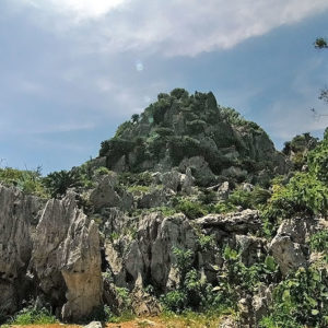 大石林山01-17・熱帯カルスト地形