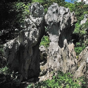 大石林山01-18・熱帯カルスト地形