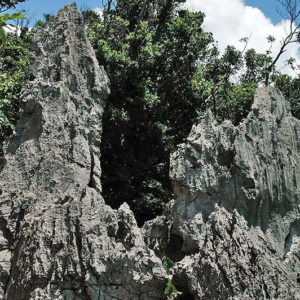 大石林山01-19・熱帯カルスト地形