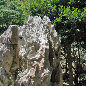 大石林山01-20・熱帯カルスト地形