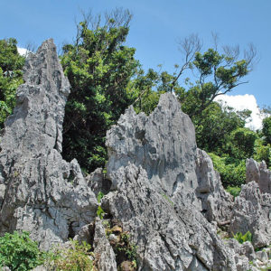 大石林山01-21・熱帯カルスト地形