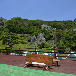 大石林山01-23・熱帯カルスト地形