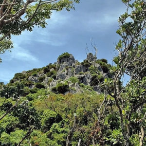 大石林山01-24・熱帯カルスト地形