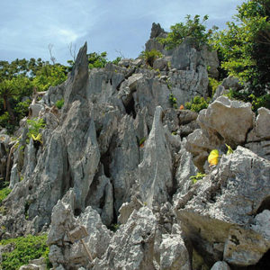 大石林山01-25・熱帯カルスト地形