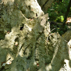 大石林山01-26・熱帯カルスト地形