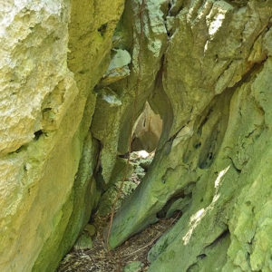 大石林山01-27・熱帯カルスト地形