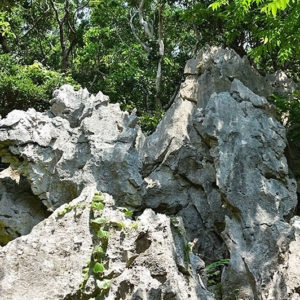 大石林山01-30・熱帯カルスト地形