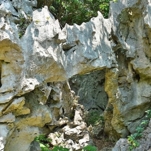 大石林山02-03・熱帯カルスト地形