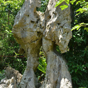 大石林山02-05・熱帯カルスト地形