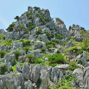 大石林山02-07・熱帯カルスト地形