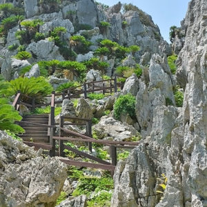 大石林山02-08・熱帯カルスト地形