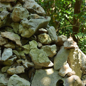 大石林山02-11・熱帯カルスト地形