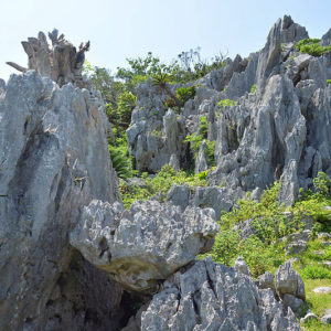 大石林山02-14・熱帯カルスト地形