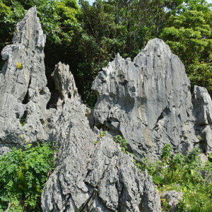 大石林山02-18・熱帯カルスト地形