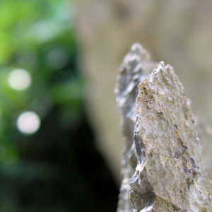 大石林山02-35・熱帯カルスト地形