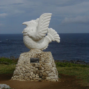 沖縄本島最北端の岬・辺戸岬018