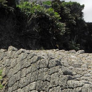 ユネスコ世界文化遺産・琉球王国のグスク及び関連遺産群・勝連城跡20