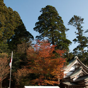 英彦山神宮点描008無料