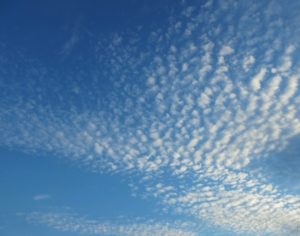 鱗雲　鰯雲　鯖雲